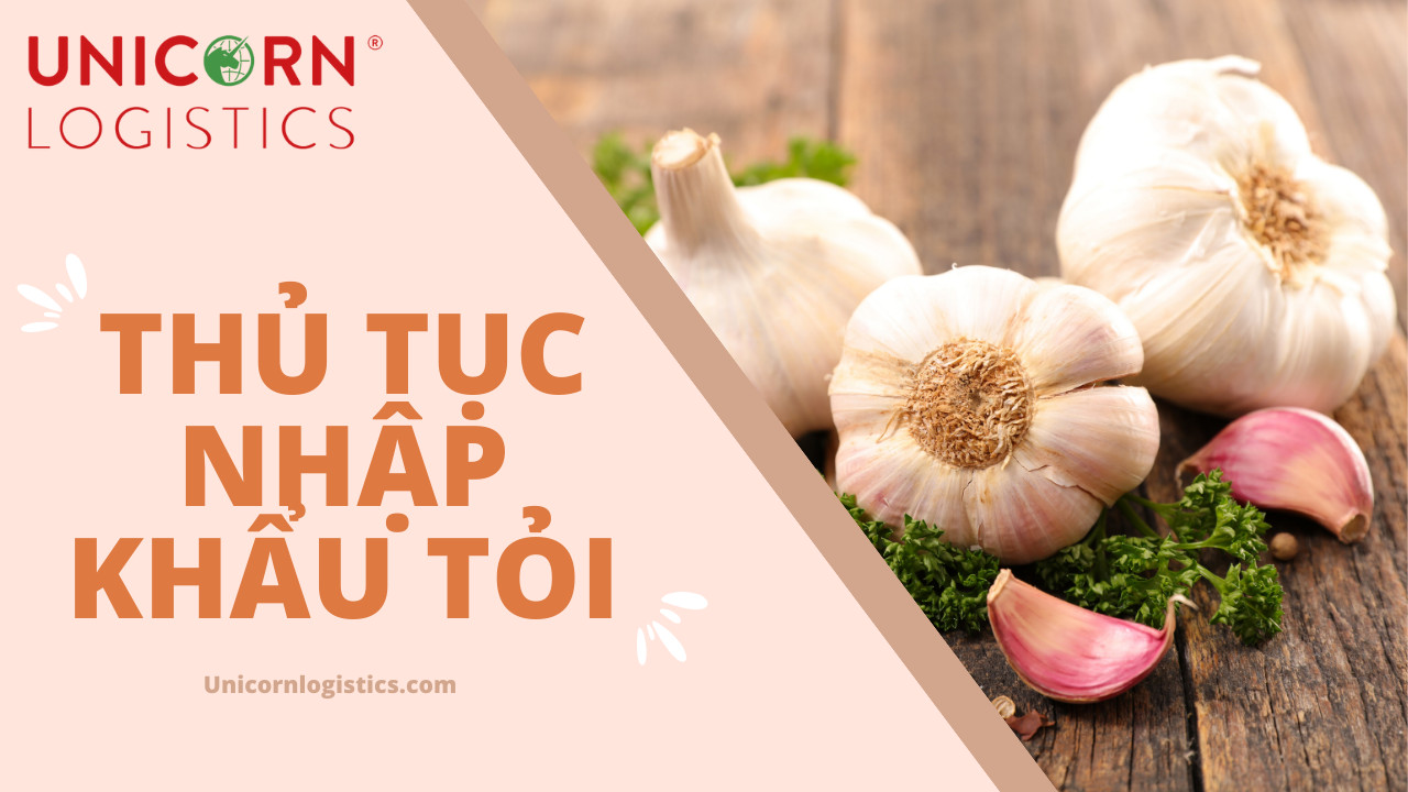 THỦ TỤC NHẬP KHẨU TỎI MỚI NHẤT