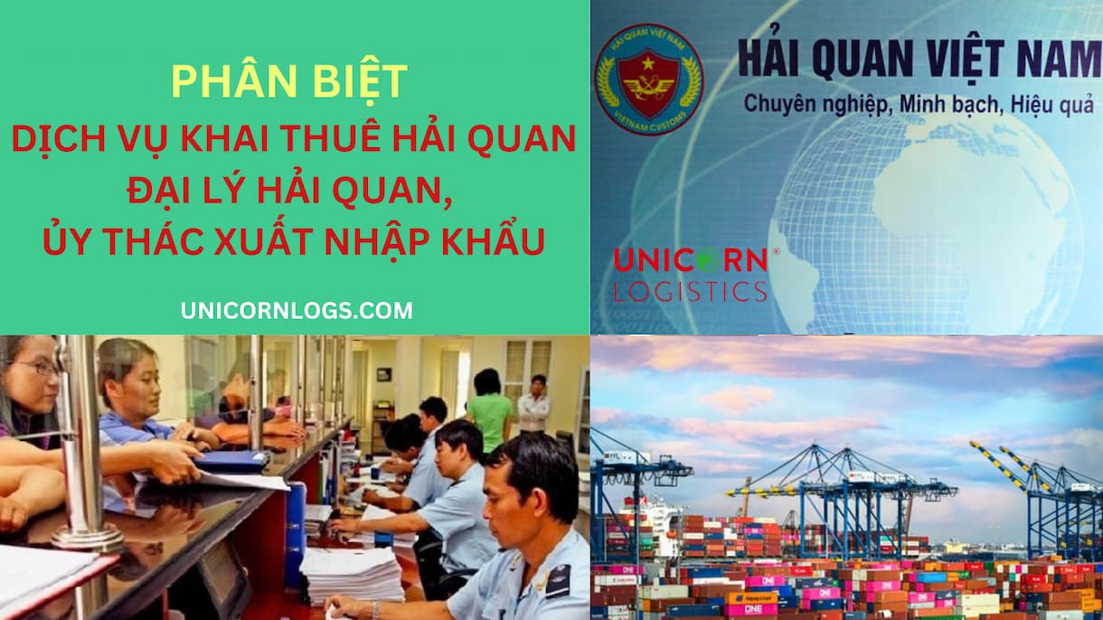 PHAN BIET UTNK1